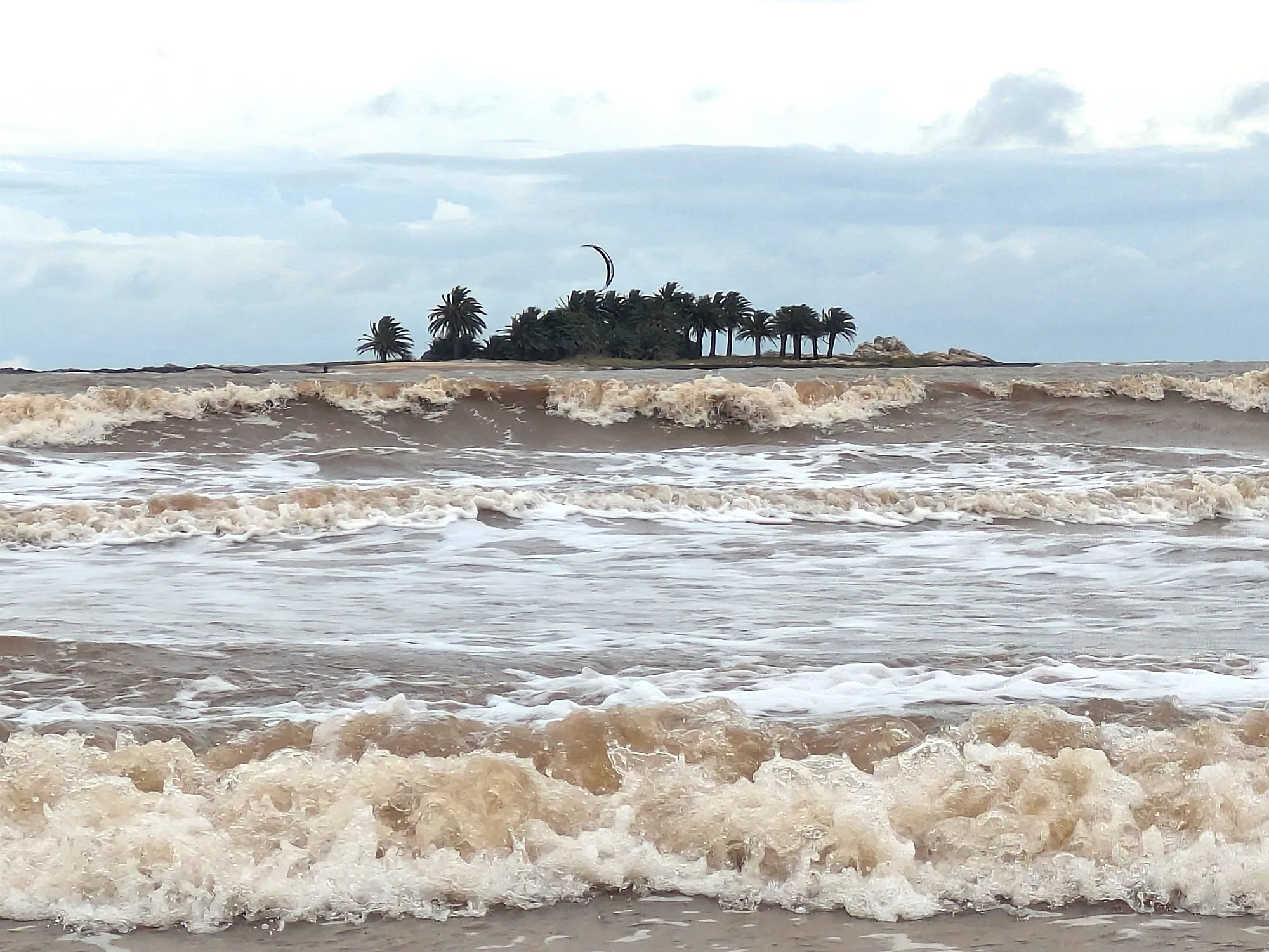 Isla de las Gaviotas