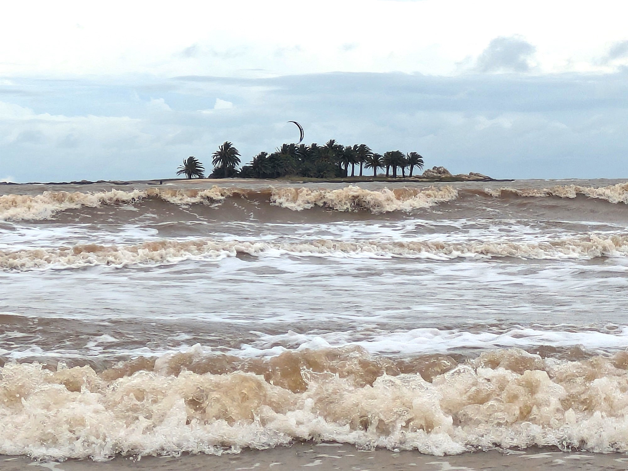 Isla de las Gaviotas