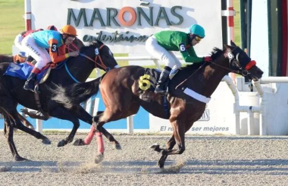 El Real de San Carlos como centro turístico