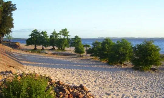 San Gregorio de Polanco