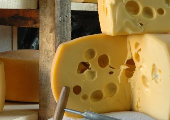 Queso Colonia: el sabor de Uruguay con raíces suizas