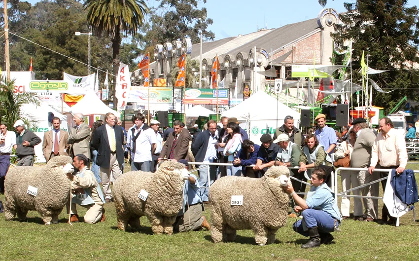 Expo Prado: la exposición agroindustrial más importante de Uruguay