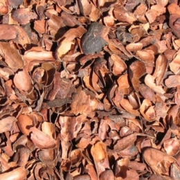 Cascarilla de cacao
