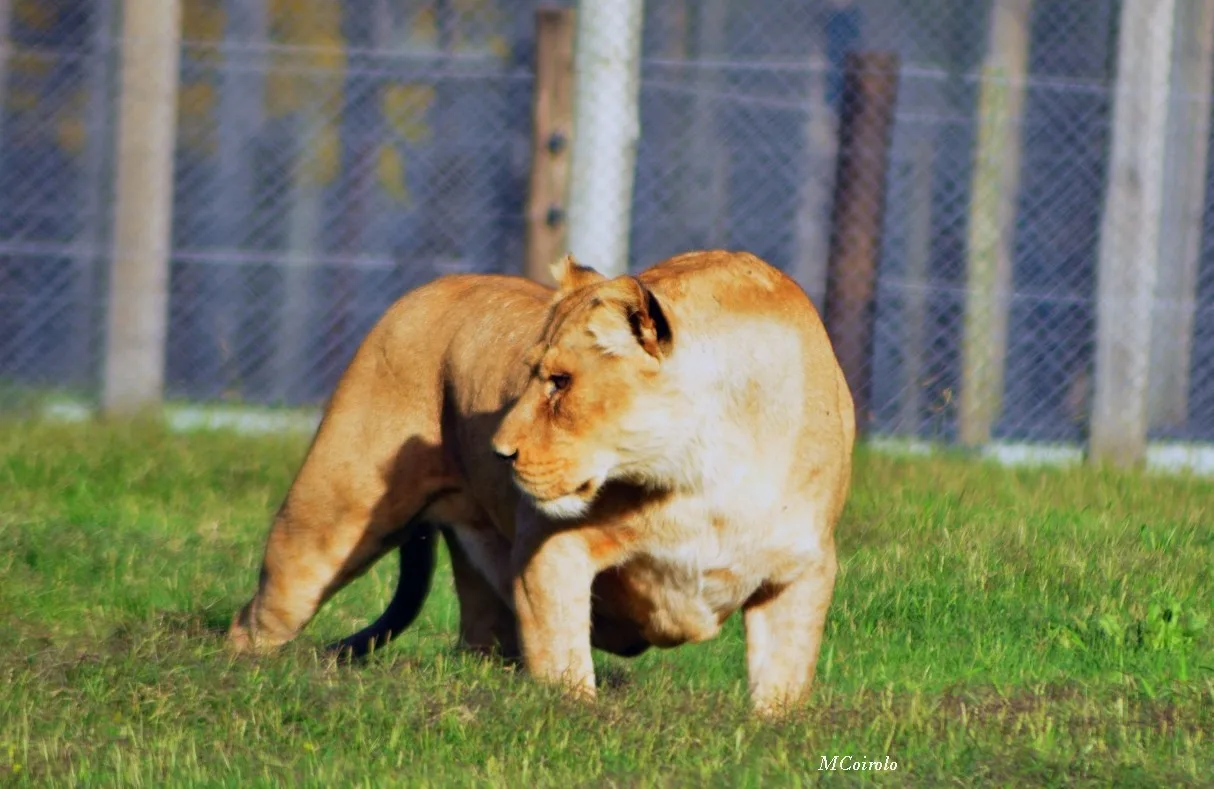 Bioparque de Durazno