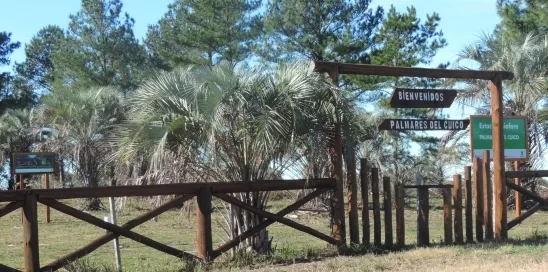 Ecoturismo en los Palmares del Cuico