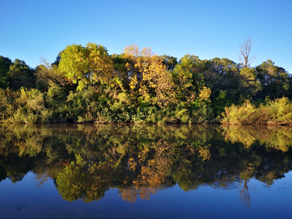 Río San José