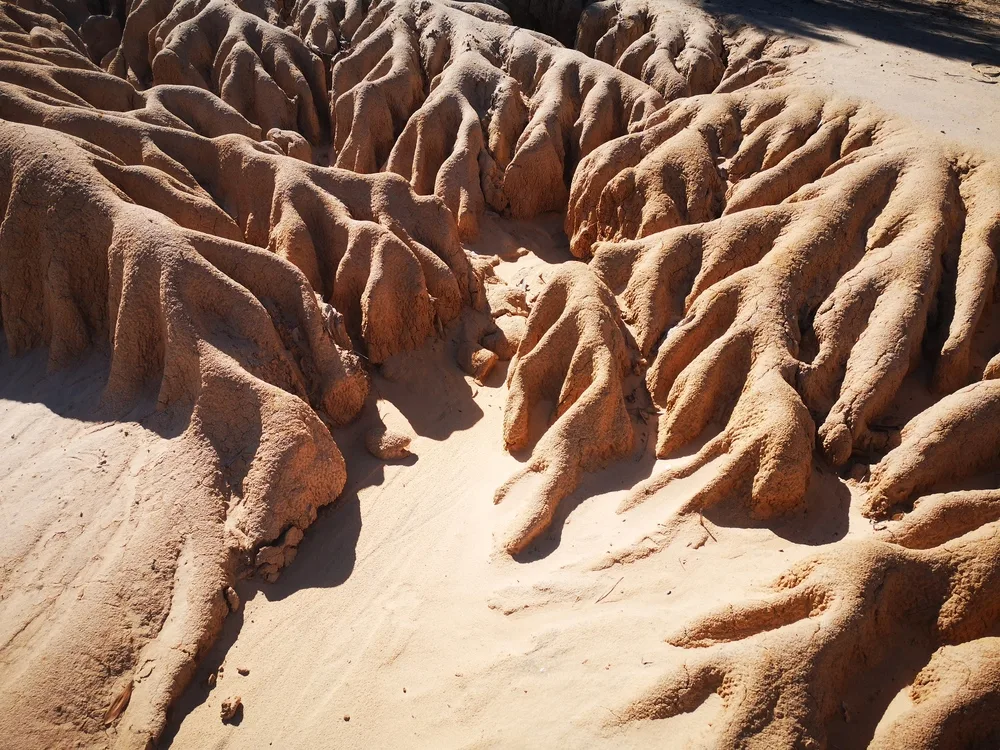 Cárcavas del Valle de la Luna