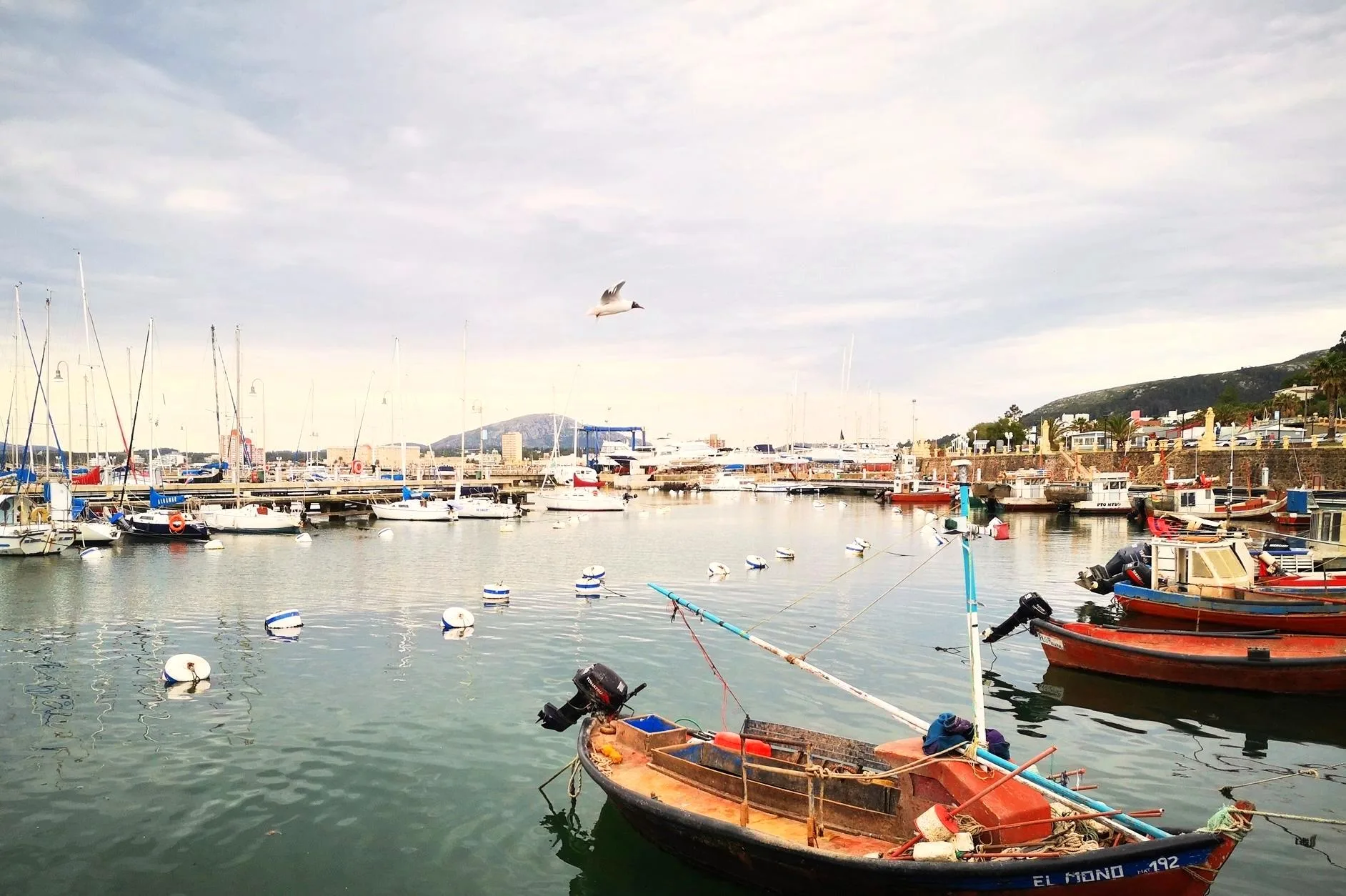 Paseo por el Puerto de Piriápolis: qué ver y qué hacer todo el año