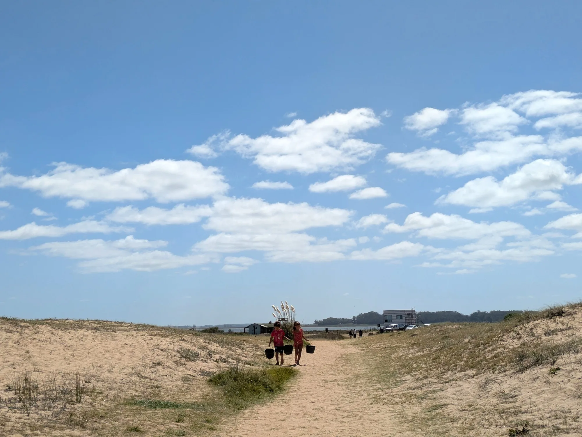 Laguna de Rocha: sendero entre dunas y aves