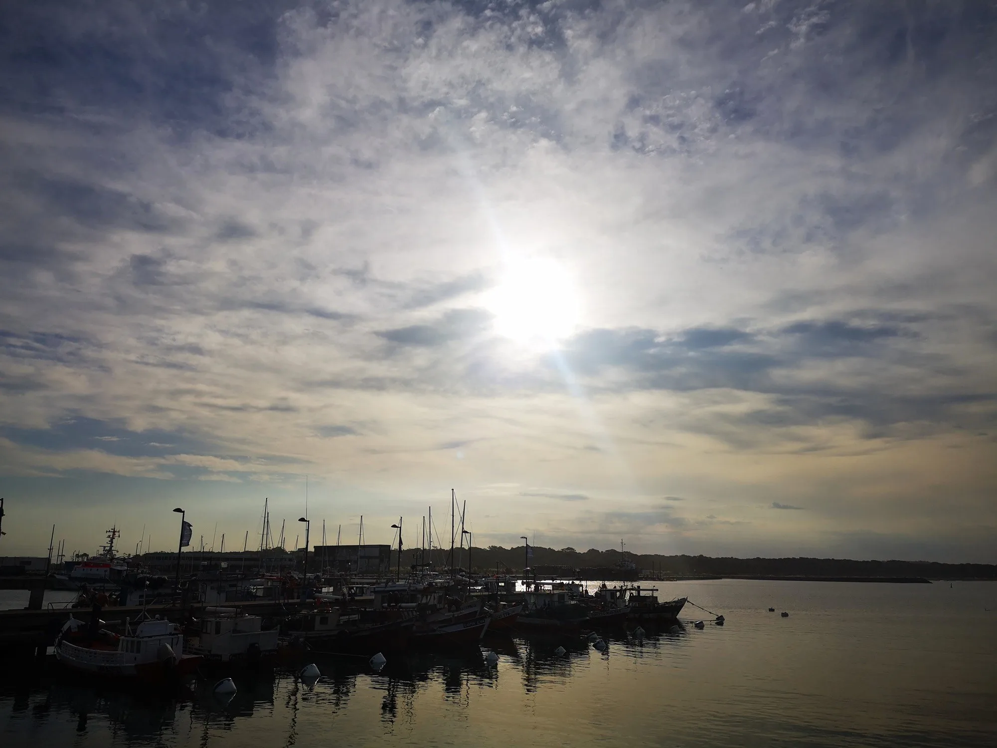 Pesca y actividades en el puerto de la paloma