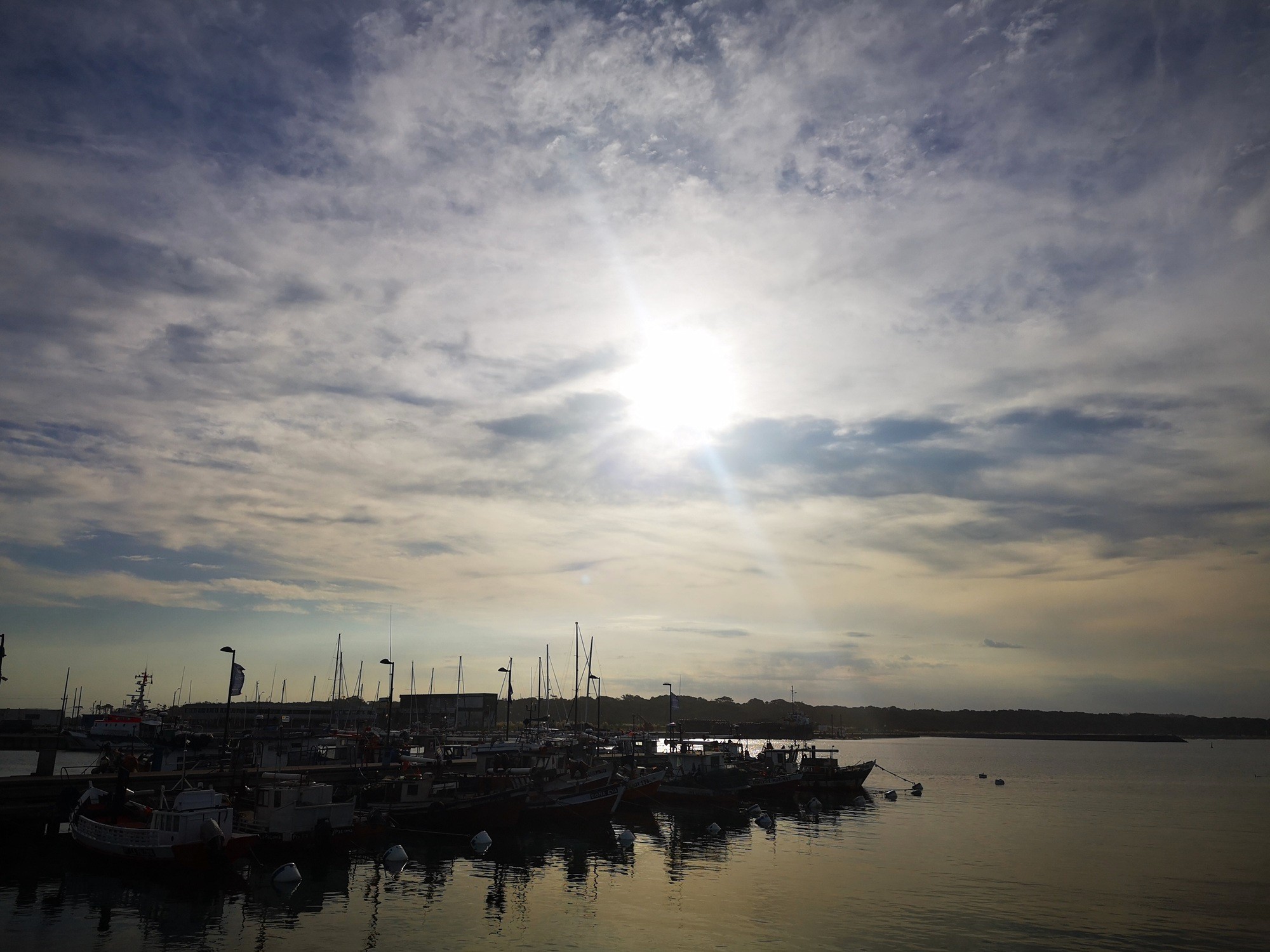 Pesca y actividades en el puerto de la paloma