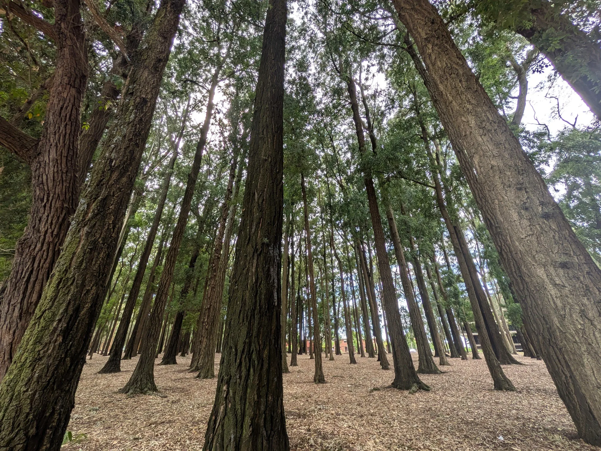 Montevideo al aire libre: Parque Rivera