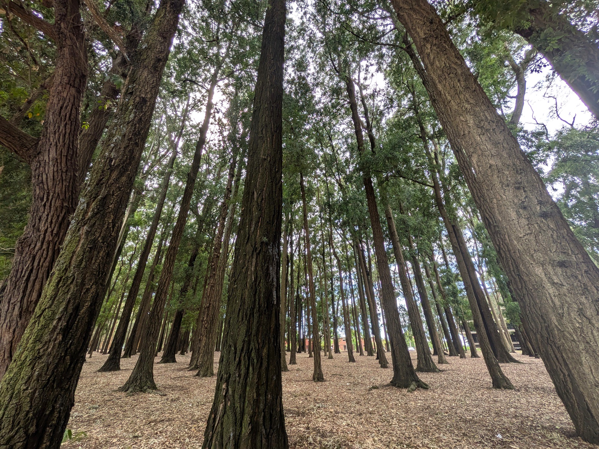 Montevideo al aire libre: Parque Rivera