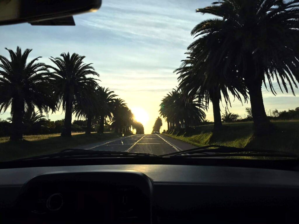 Atardecer y palmeras en ruta de Colonia